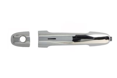 Exterior Door Handle BLIC 6010-19-059401PP