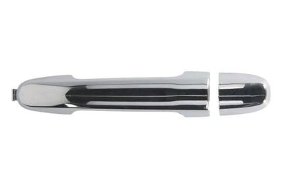 Exterior Door Handle BLIC 6010-19-059402PP