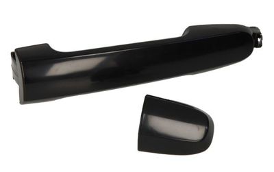Exterior Door Handle BLIC 6010-19-059403P