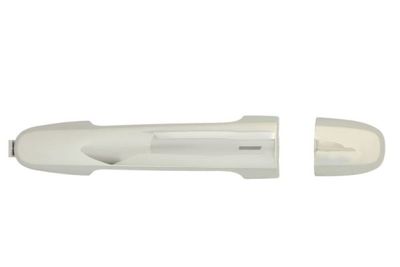Exterior Door Handle BLIC 6010-19-059403PP