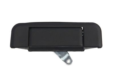 Tailgate Handle BLIC 6010-19-062417P