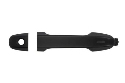 Exterior Door Handle BLIC 6010-19-074401P