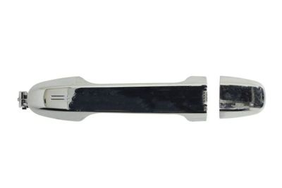 Exterior Door Handle BLIC 6010-19-074402PP