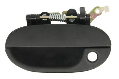Exterior Door Handle BLIC 6010-20-001401P
