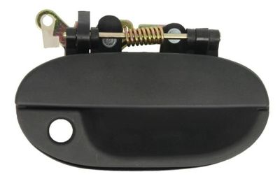 Exterior Door Handle BLIC 6010-20-001402P