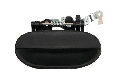 Exterior Door Handle BLIC 6010-20-001403P