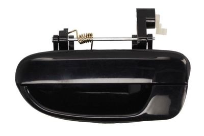 Exterior Door Handle BLIC 6010-20-016403P