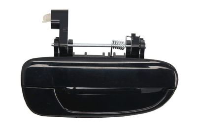 Exterior Door Handle BLIC 6010-20-016404P