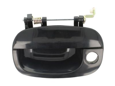 Exterior Door Handle BLIC 6010-20-017401P