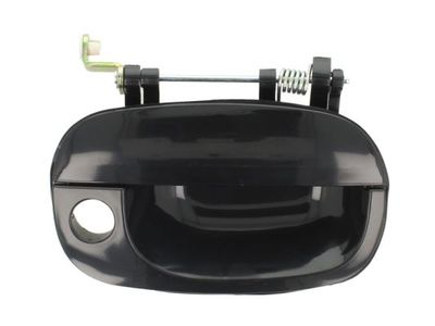 Exterior Door Handle BLIC 6010-20-017402P