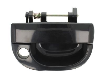 Exterior Door Handle BLIC 6010-20-017410P
