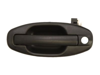 Exterior Door Handle BLIC 6010-20-021401P