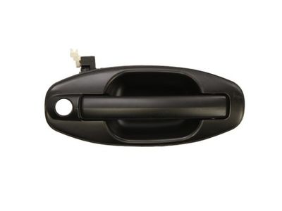 Exterior Door Handle BLIC 6010-20-021402P
