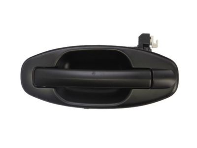 Exterior Door Handle BLIC 6010-20-021403P