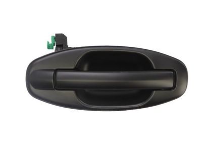 Exterior Door Handle BLIC 6010-20-021404P