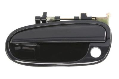 Exterior Door Handle BLIC 6010-20-023401P