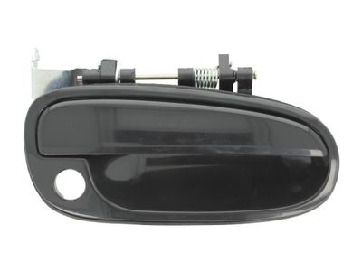 Exterior Door Handle BLIC 6010-20-023402P