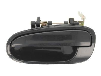 Exterior Door Handle BLIC 6010-20-023403P