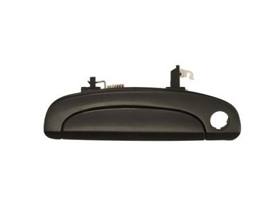 Exterior Door Handle BLIC 6010-20-027401P