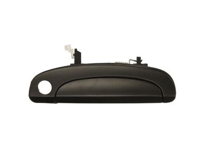 Exterior Door Handle BLIC 6010-20-027402P