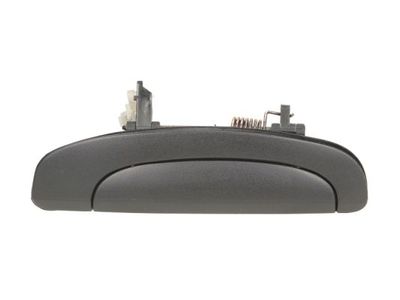 Exterior Door Handle BLIC 6010-20-027404P