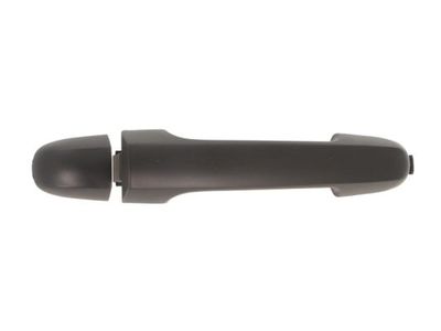 Exterior Door Handle BLIC 6010-20-034402P
