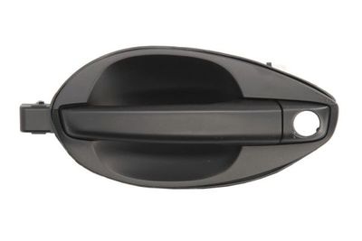Exterior Door Handle BLIC 6010-20-040401P