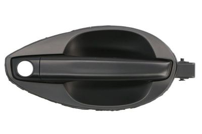 Exterior Door Handle BLIC 6010-20-040402P