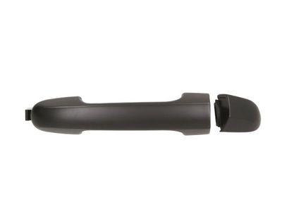 Exterior Door Handle BLIC 6010-20-045402P