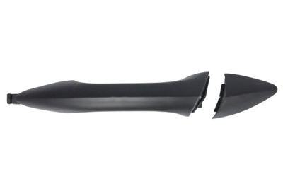 Exterior Door Handle BLIC 6010-20-055403P
