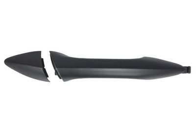Exterior Door Handle BLIC 6010-20-055404P
