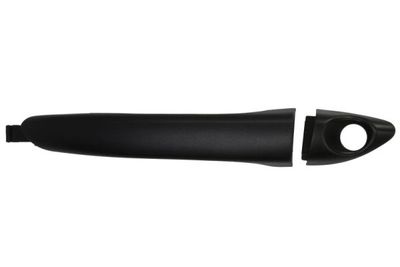 Exterior Door Handle BLIC 6010-20-057401P