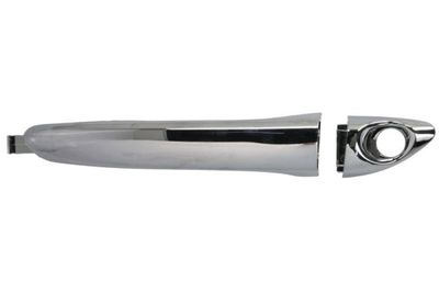 Exterior Door Handle BLIC 6010-20-057401PP
