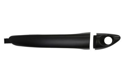 Exterior Door Handle BLIC 6010-20-057401PPP