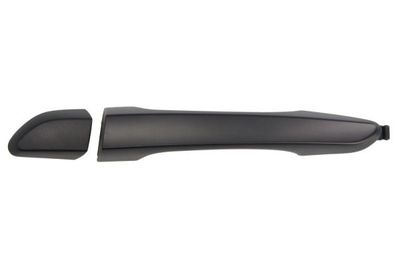 Exterior Door Handle BLIC 6010-20-061403PP