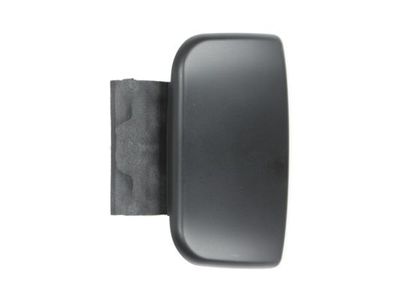 Exterior Door Handle BLIC 6010-21-015405P