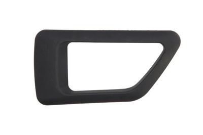 Exterior Door Handle BLIC 6010-21-015409PP