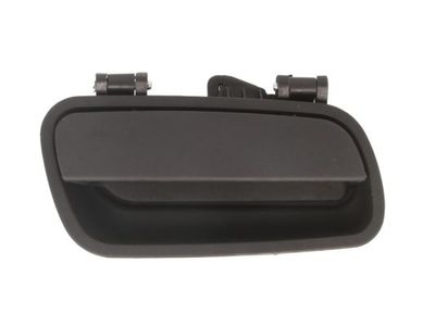Exterior Door Handle BLIC 6010-21-015410LWP