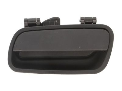 Exterior Door Handle BLIC 6010-21-015410WP