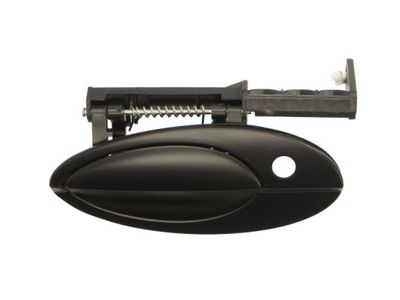 Exterior Door Handle BLIC 6010-21-020401P