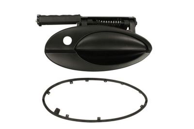 Exterior Door Handle BLIC 6010-21-020402P