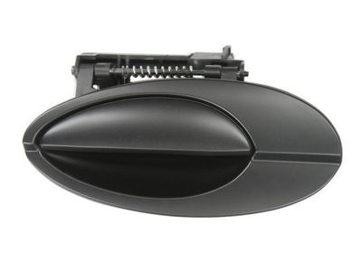 Exterior Door Handle BLIC 6010-21-020403P