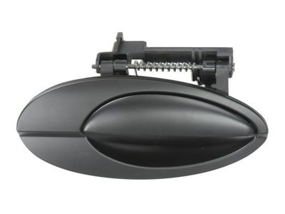 Exterior Door Handle BLIC 6010-21-020404P