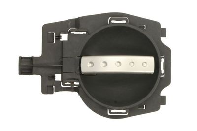 Exterior Door Handle BLIC 6010-21-021409P