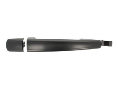Exterior Door Handle BLIC 6010-21-034402P
