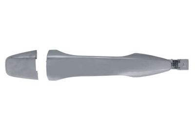 Exterior Door Handle BLIC 6010-21-047402P