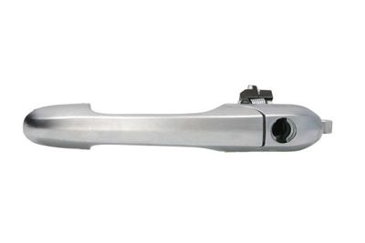 Exterior Door Handle BLIC 6010-22-011401P