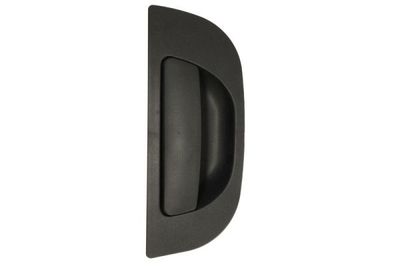Exterior Door Handle BLIC 6010-22-011403P