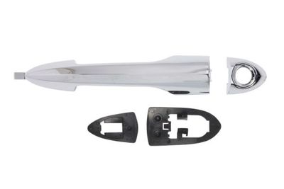 Exterior Door Handle BLIC 6010-22-016401P