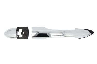 Exterior Door Handle BLIC 6010-22-016402P
